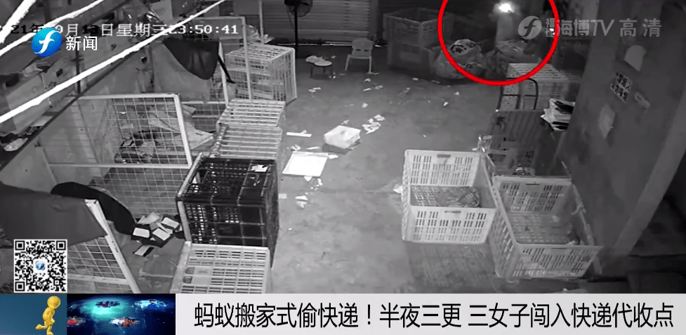 可耻！福州3名年轻女子半夜出门偷偷做这件事竟还录制视频“炫耀”！bst365官网(图2)