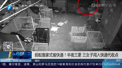 可耻！福州3名年轻女子半夜出门偷偷做这件事竟还录制视频“炫耀”！bst365官网(图1)